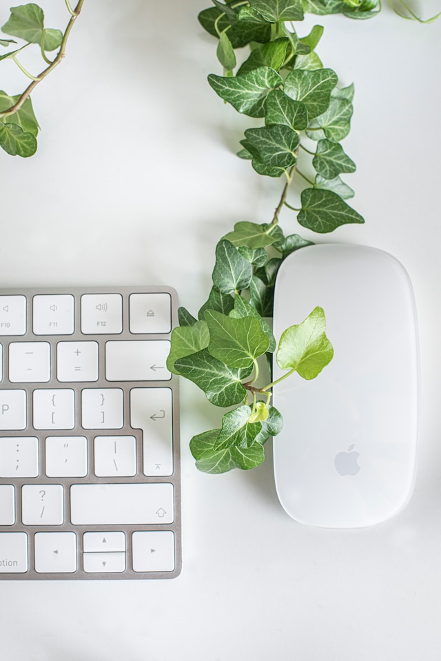 White Apple Magic Mouse Beside Green Leaves